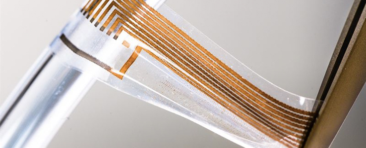 Soft gold creates a connection between nerves and electronics.