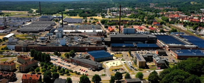 Skovde-plant