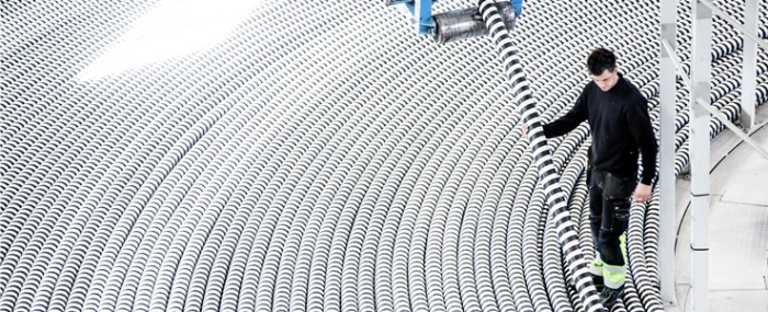 Cable