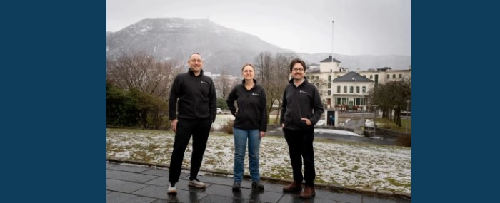 Lacelithography738300