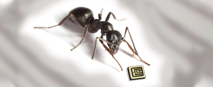 Ant-Component-Size-Comparison