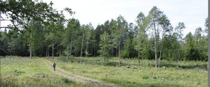 mining