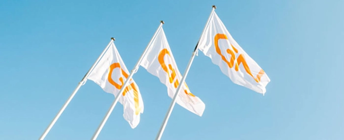 GN-Audio-flags