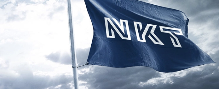 Flag-Logo