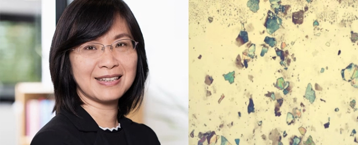 Lilei-optical-microscope-graphene