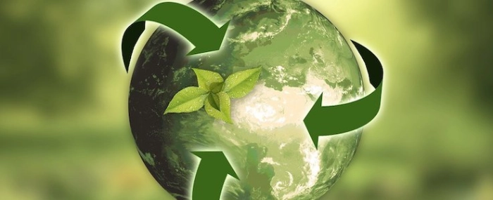 anncapictures-nature-ecology-recycling