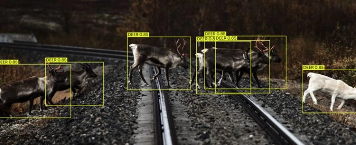 Train-AI
