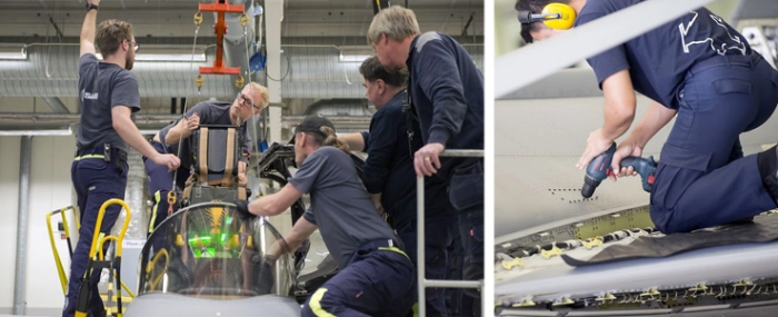 gripen-support