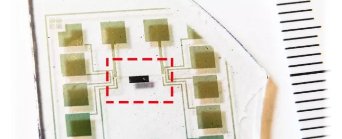 organic-electronics