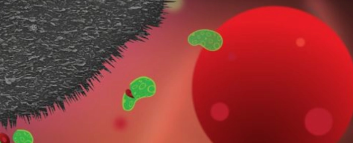 Graphene-spike-mat