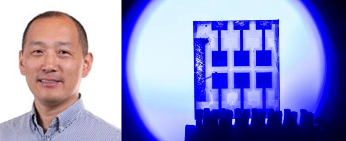 Feng-Gao-Perovskiter