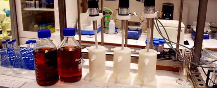 lab-setup