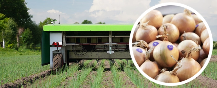 Ekobot-Robot-5G-onion
