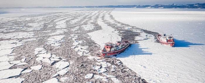 arcticstudy