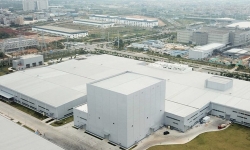 Surge-Arrester-Factory-China