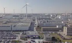 Ghent-plant