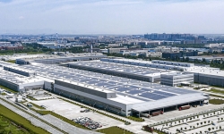 Luqiao-Plant-China
