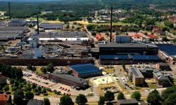 Skovde-plant