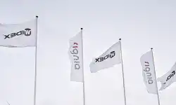 Flags
