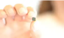 holding-tiny-sensor