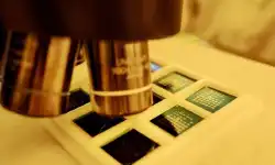 cleanroom-inspection