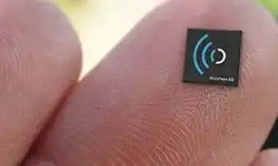 chip