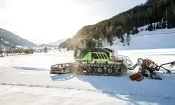 pintohhusky