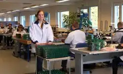 electronis_production-l