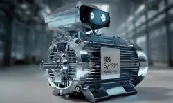 IE6SynRM