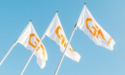 GN-Audio-flags