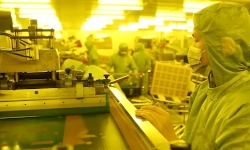 lab