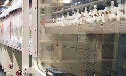 SES-Line-2022