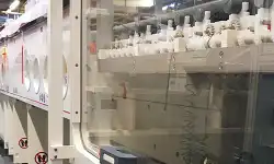 SES-Line-2022