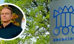 Carl-Sigfridsson-Logo-on-Sign