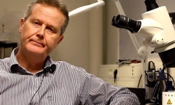 Hakan-Pettersson