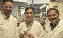 Lithium-Sulphur-Battery