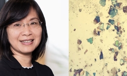 Lilei-optical-microscope-graphene