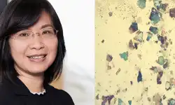 Lilei-optical-microscope-graphene