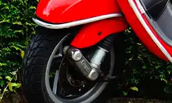 Alexas-Fotos_Scooter