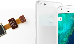 fingerprint-pixel