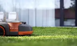 lawnmower