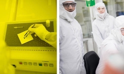 lab