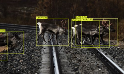 Train-AI
