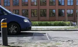 actibump