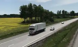 wsp