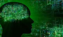 brain