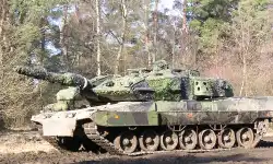 leopard-Dubbeleken-Revinge