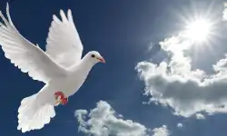 passing-away-sky