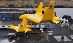 Minestodragon12and4mindrestorlek