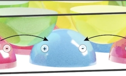 Eel-Style-Electricity